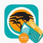 Reversal: Reverse FNB eWallet With These Methods