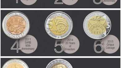 Where To Sell Mandela Coins & Price Value