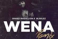Shabzi Madallion & Blaklez - Wena (Remix)
