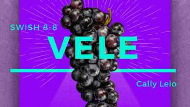 Swish 8-8 Releases New Song “VELE” Featuring Cally Leio