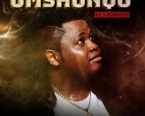 Dladla Mshunqisi – Umshunqo Reloaded Album