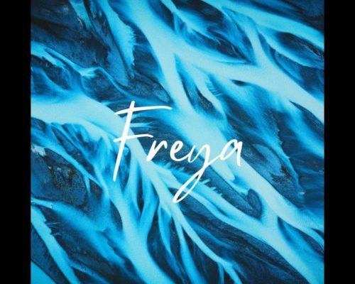Dwson – Freya (Original Mix) 1