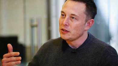 Elon Musk Says Twitter Will Purge Dormant Accounts 16