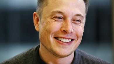 Elon Musk Warns About Malema'S Controversial Chant 10