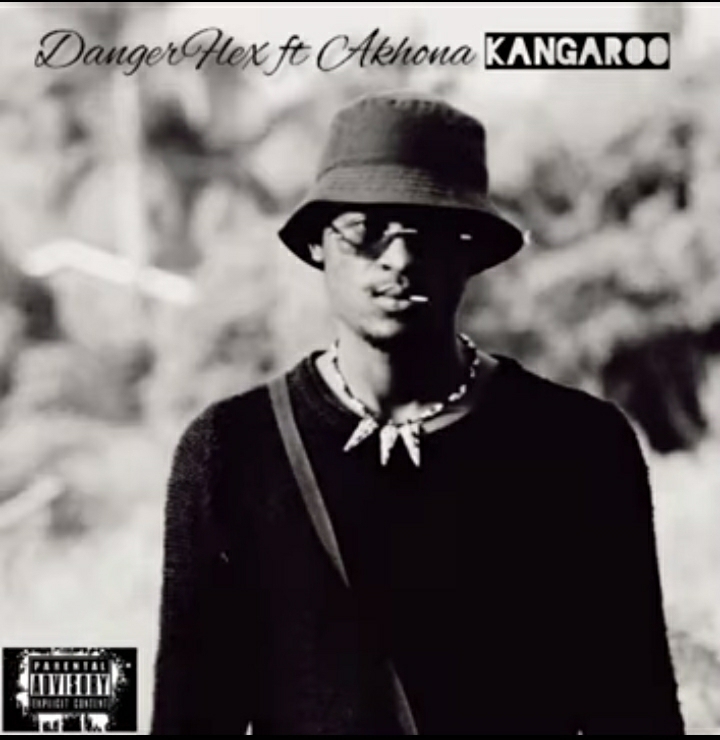 Dangerflex - Kangaroo Ft. Akhona 1