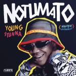 Young Stunna – Shenta ft. Nkulee 501 & Skroef 28
