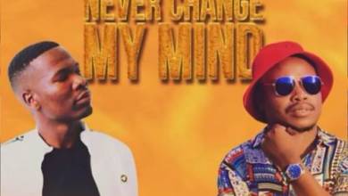 Pro-Tee & DJ TPZ – Never Change My Mind (Original-Mix)