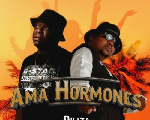 Diliza – Ama Hormones ft. Professor