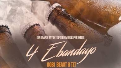 TLT & Gobi Beast – 4 Ebandayo