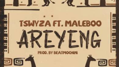 Tswyza ‎- Areyeng ft. Maleboo