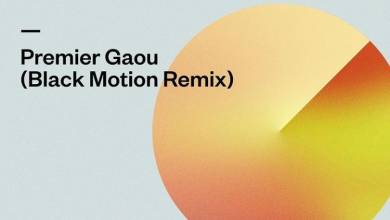 Francis Mercier & Magic System – Premier Gaou (Black Motion Remix)
