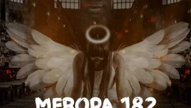 Ceega – Meropa 182 Mix (I Just Wanna Live &Amp; Play House Music) 12