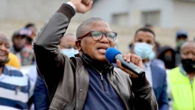 Fikile Mbalula Biography: Age, Education, Qualifications, Parents, Salary, Cars, House, Wife, Child & Contact Details