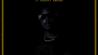 Mlungisi Mathe - Nelly Ft. Aubrey Qwana 8