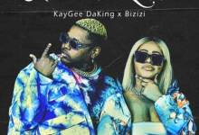 Kaygee DaKing & Bizizi – Inkwari ft. Just Bheki & TNS
