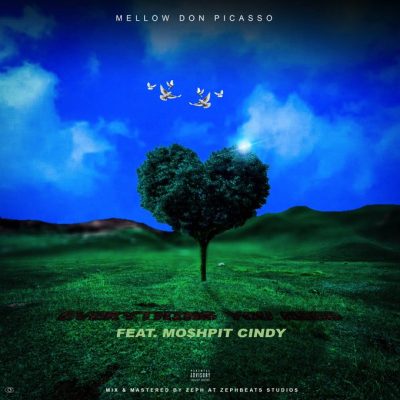 Mellow Don Picasso – Everything You Need Ft. Mo$Hpit Cindy 1