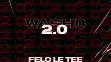 Liam Beatz & Felo Le Tee – Washo
