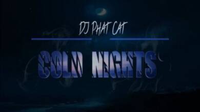 DJ Phat Cat – Cold Nights