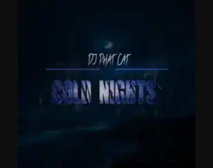 Dj Phat Cat – Cold Nights 1