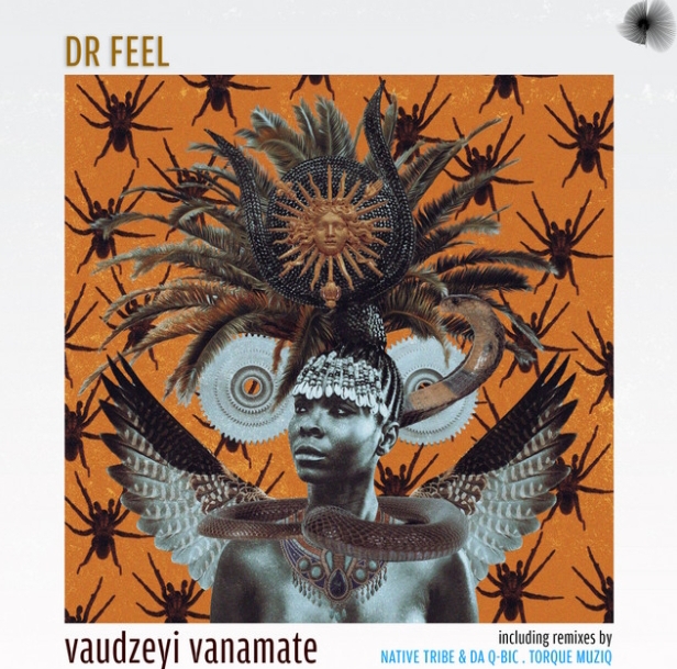 Dr Feel – Vaudzeyi Vanamate EP