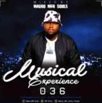 Mfr Souls (Maero) – Musical Experience 036 Mix