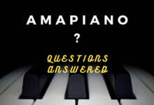  When, Where, How, Who & What Questions Of Amapiano Answered