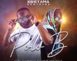 Kweyama Brothers – Polo B ft. Slowavex Pushkin Springle