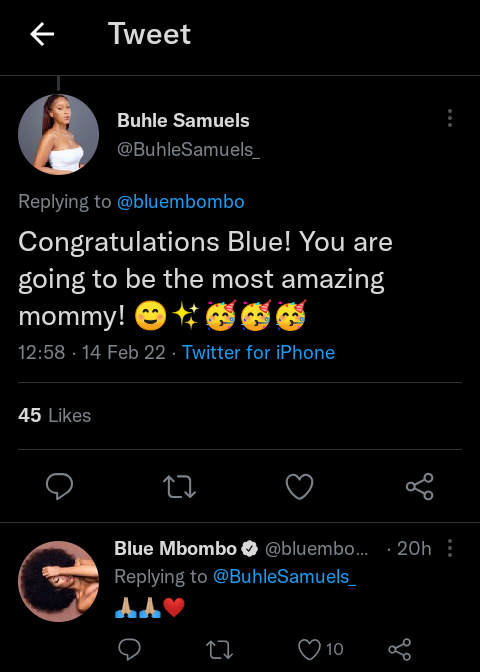 Blue Mbombo Announces Pregnancy, And Calls It Her Perfect Valentine'S Gift 6