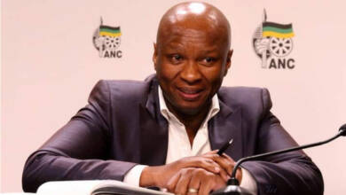Zizi Kodwa Biography: Age, Academic Qualifications, Wife, House, Cars, Current Position & Contact Details