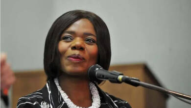 Thuli Madonsela’s Daughter Wenzile Drags Her On Twitter