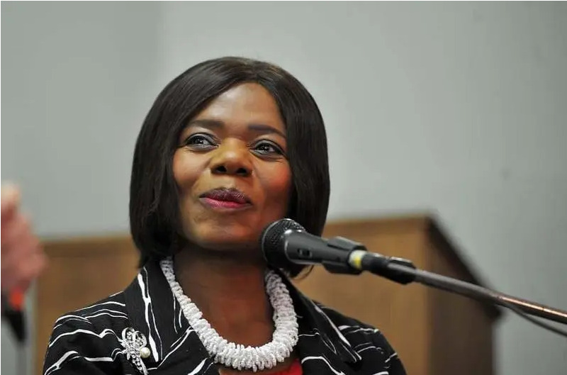 Thuli Madonsela’s Daughter Wenzile Drags Her On Twitter