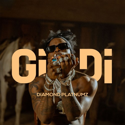 Watch Now: Diamond Platnumz Premieres “Gidi” Music Video