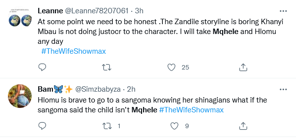 The Wife Showmax: Hlomu, Mqhele, Nqoba &Amp; Zandile In The Eyes Of Viewers 8