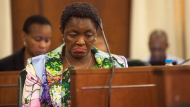 Court Rules ANCWL Leader Bathabile Dlamini  Lied Under Oath, To Be Sentenced in April