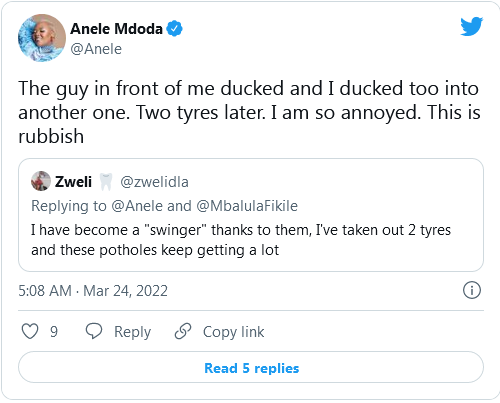 Anele Mdoda Cries Out To Fikile Mbalula As Potholes Destroy Her Tyres, Minister Roasted For Quick Response 6