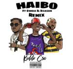 Kiddo CSA – Haibo (Remix) Ft. S1mba & Reason