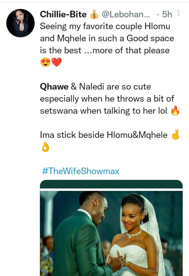 #Thewifeshowmax: Viewers In Raptures Over Qhawe &Amp; Naledi Relationship 3