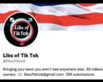 Libs of Tik Tok Trends After Taylor Lorenzo’s Washington Post Exposé