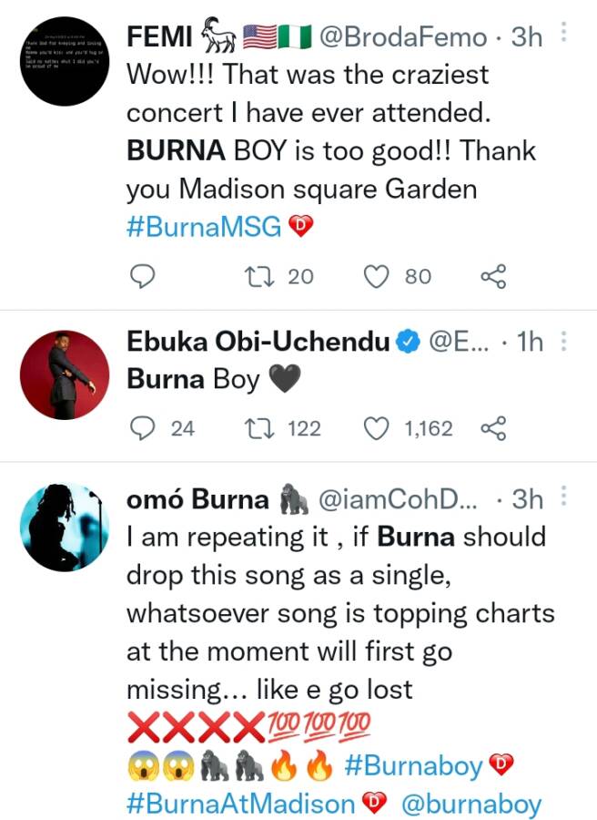 Watch Burna Boy Make History, Sell Out Madison Square Garden 4