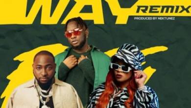 Tripsy, Lady Du, Davido &Amp; Nektunez – Freeway Ft. Dj Pee Raven (Remix) 1