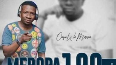 Ceega Wa Meropa – 190 Mix (I Live My Daydreaming In Music) 10