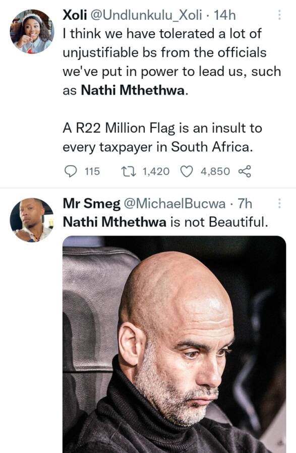 Nathi Mthethwa Under Fire Over 22 Million Budget For 100M Monument Flag 2