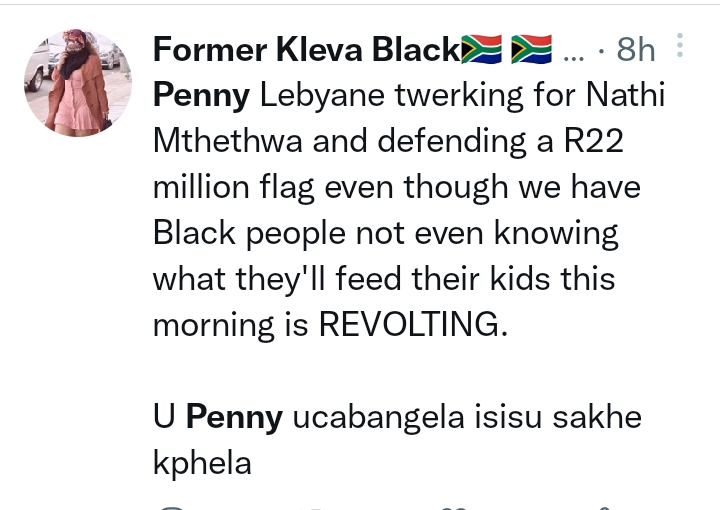 Penny Lebyane Criticised For Comparing Nathi Mthethwa'S Monument Flag To The Eiffel Tower, Statue Of Liberty 7