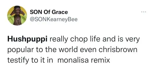 Hushpuppi Trends As Chris Brown References Him “Monalisa (Remix)” Song With Sojay &Amp; Sarz 3
