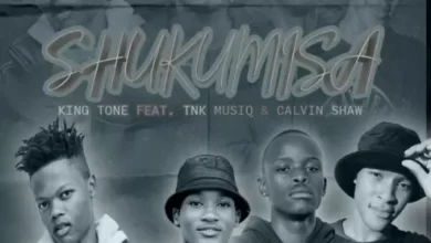 King Tone Sa, Tnk Musiq &Amp; Calvin Shaw – Shukumisa 11