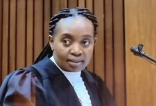 Senzo Meyiwa Trial: Advocate Mshololo Replies Zandie Khumalo’s Dog Insult