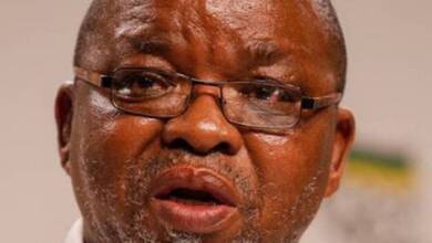 Gwede Mantashe Biography: Age, Wife, Net Worth, House, Salary, Cars, Education & Qualifications