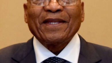 SCA Wants Jacob Zuma Back In Prison