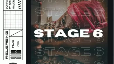 Boniface – Stage 6 ft. Skrecher & Major League DJz