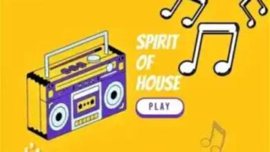 Roque – Spirit Of House (Original Mix)